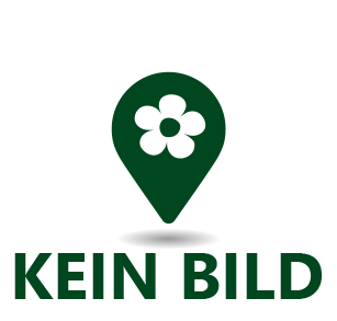 Blumenstrauss rund Blumenstrauss rund